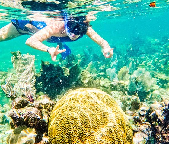 Enjoy amazing snorkeling when going a private yacht charter